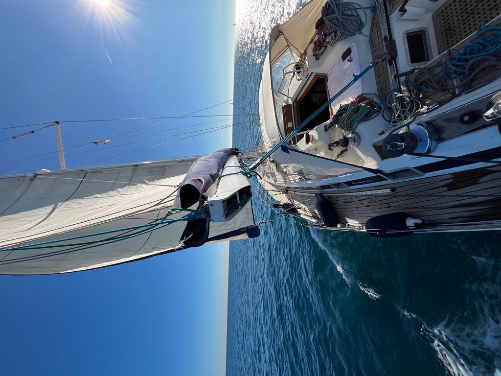 Boat picture 16