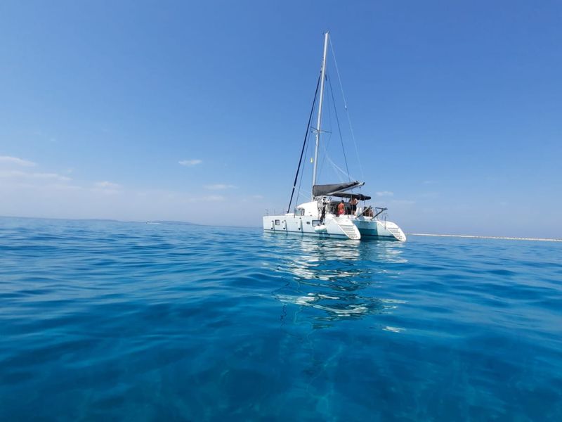 Photo of undefined, image 1 of 50