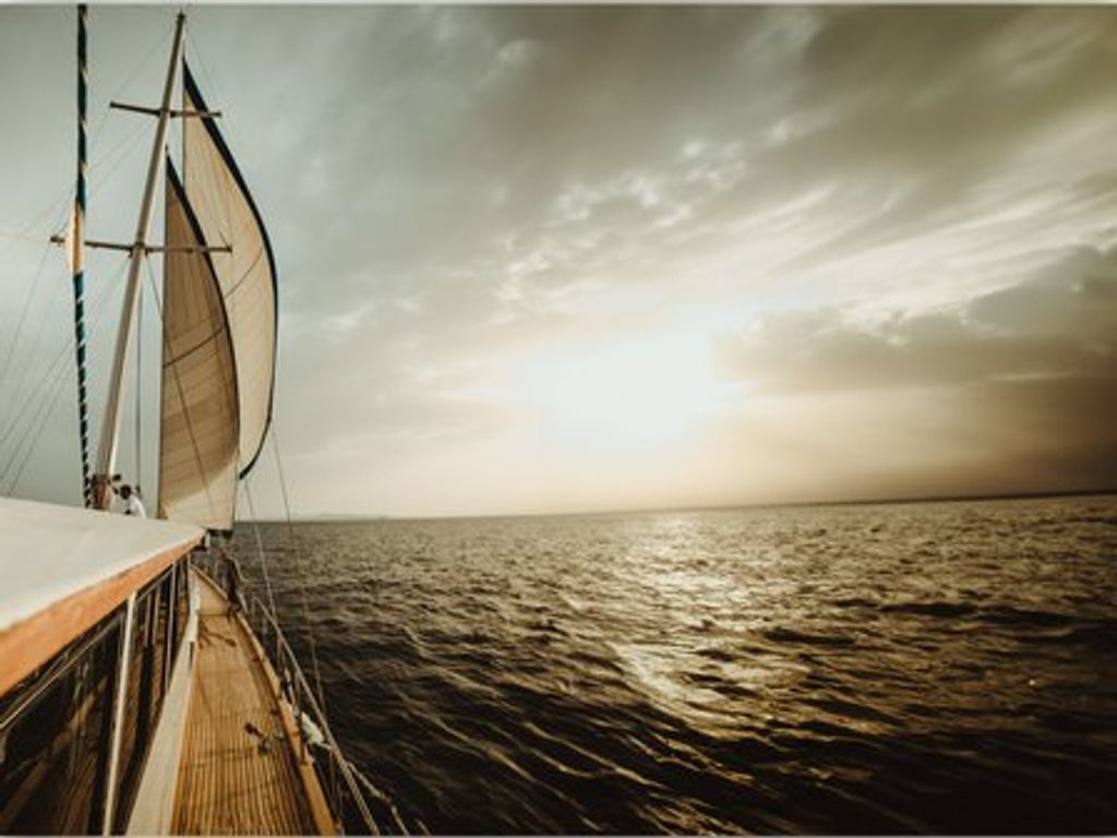 Boat picture 12